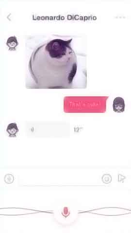 ip攻击器网页版ddos软件程序维护界面